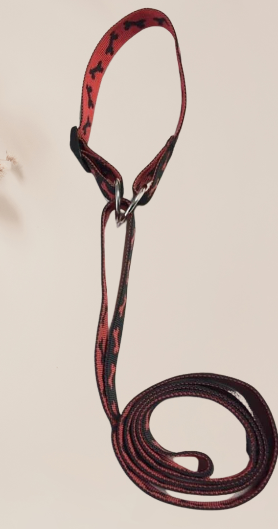 laisse et collier de dressage motif os rouge - fabrication artisanale belge - manoä