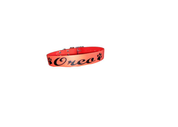 Collier biothane unicolore à personnaliser