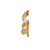 Friandises Snack Bar Trixie Denta Fun Curl poulet 15cm