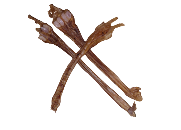 Friandises naturelles tendon de cerf