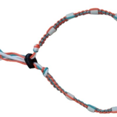 Collier anti-tiques
