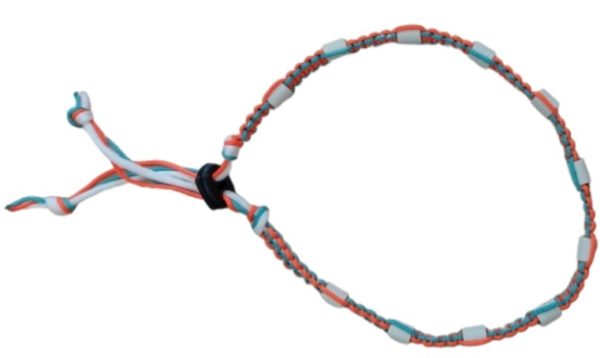 Collier anti-tiques