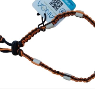 Collier anti-tiques