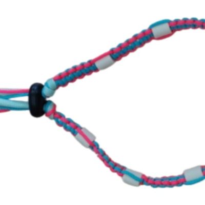 Collier anti-tiques
