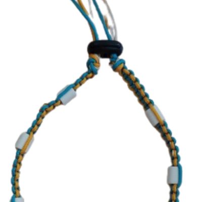 Collier anti-tiques