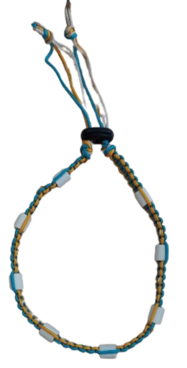 Collier anti-tiques